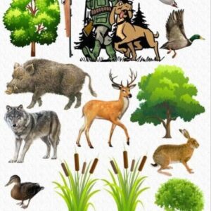 Vafe, Imagini comestibile , animale salbatice